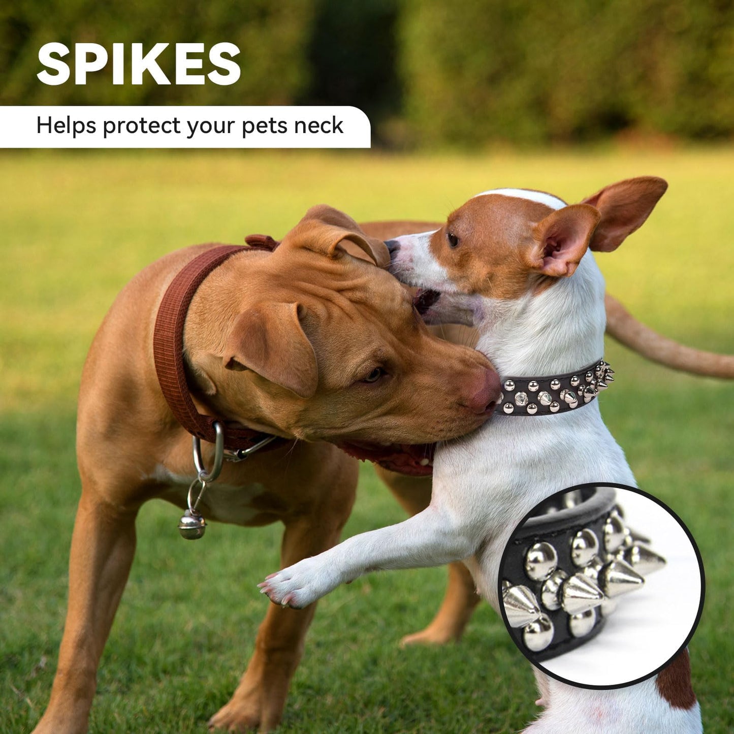 Spiked Black Dog Cat Collar For Small Medium Dogs - Adjustable Studded Puppy Collars - Soft Padded Punk Leather Dog Collar For Small Medium Breed Dogs