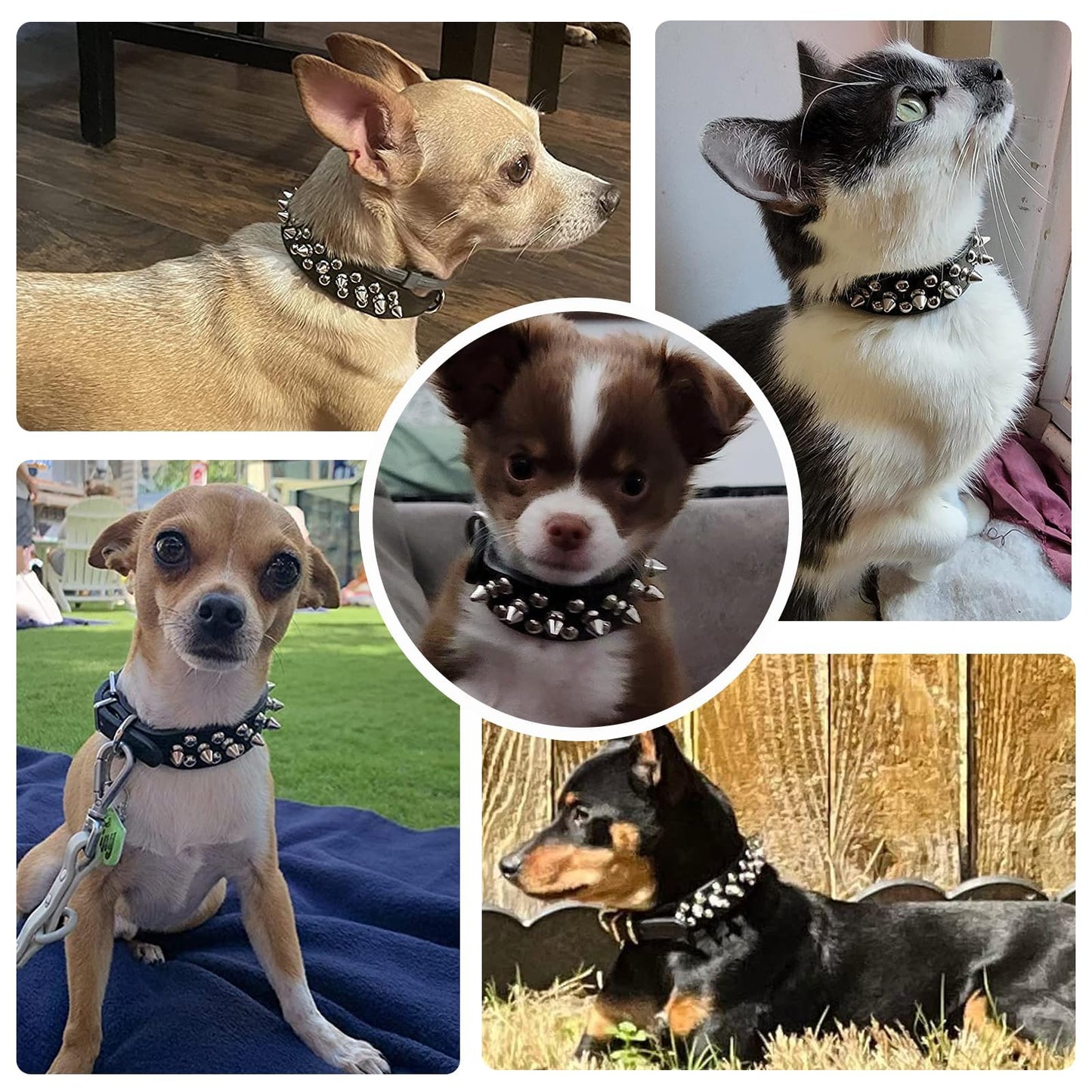 Spiked Black Dog Cat Collar For Small Medium Dogs - Adjustable Studded Puppy Collars - Soft Padded Punk Leather Dog Collar For Small Medium Breed Dogs